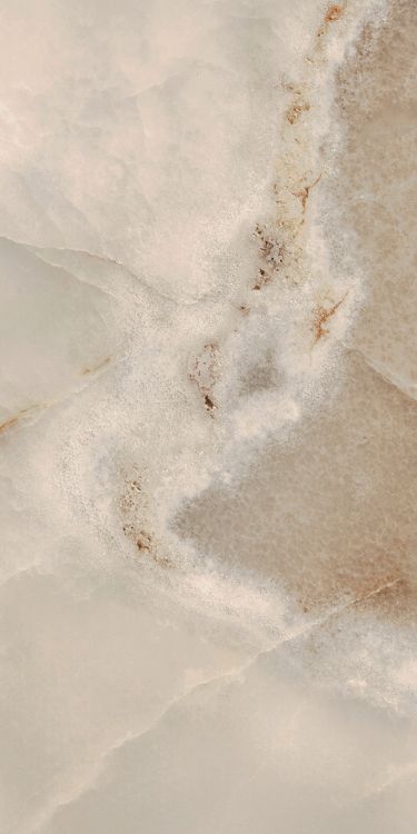 Reves Noisette Matte 12 x 24